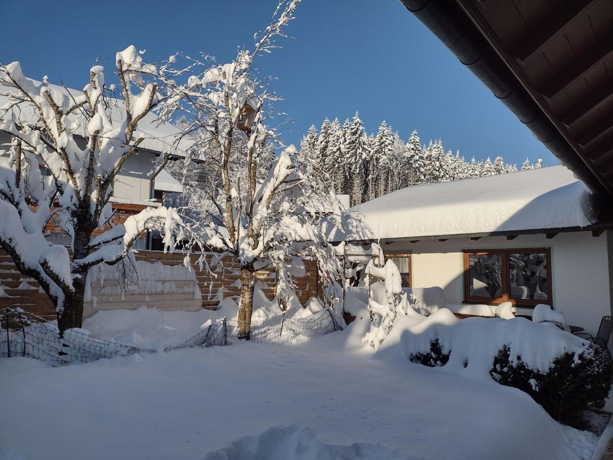 Cosy Holiday Home With Sauna In The Allg U Burggen Экстерьер фото